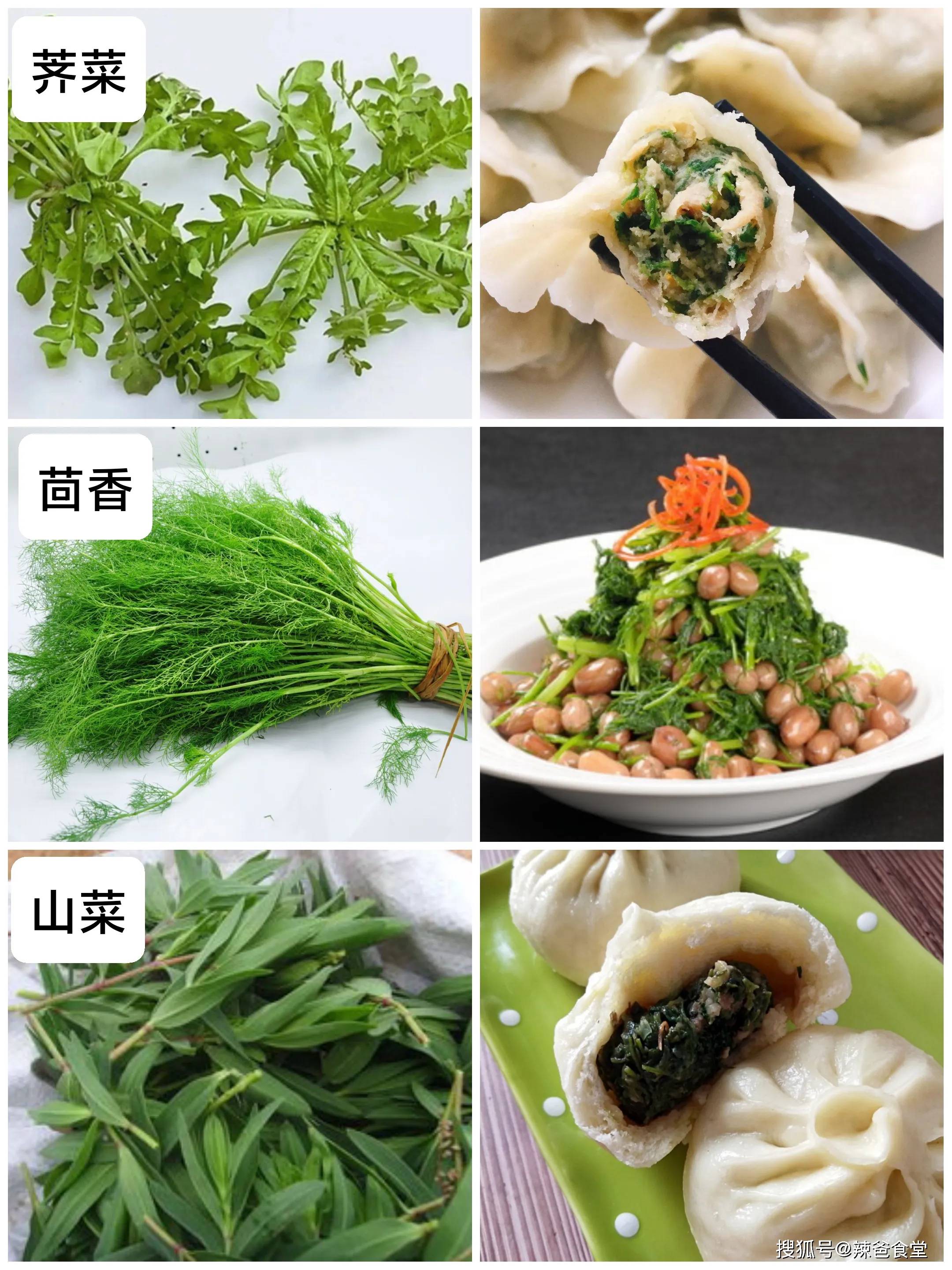 春天吃什么？那些春天“当季”美食，错过就要等一年，赶紧享用！