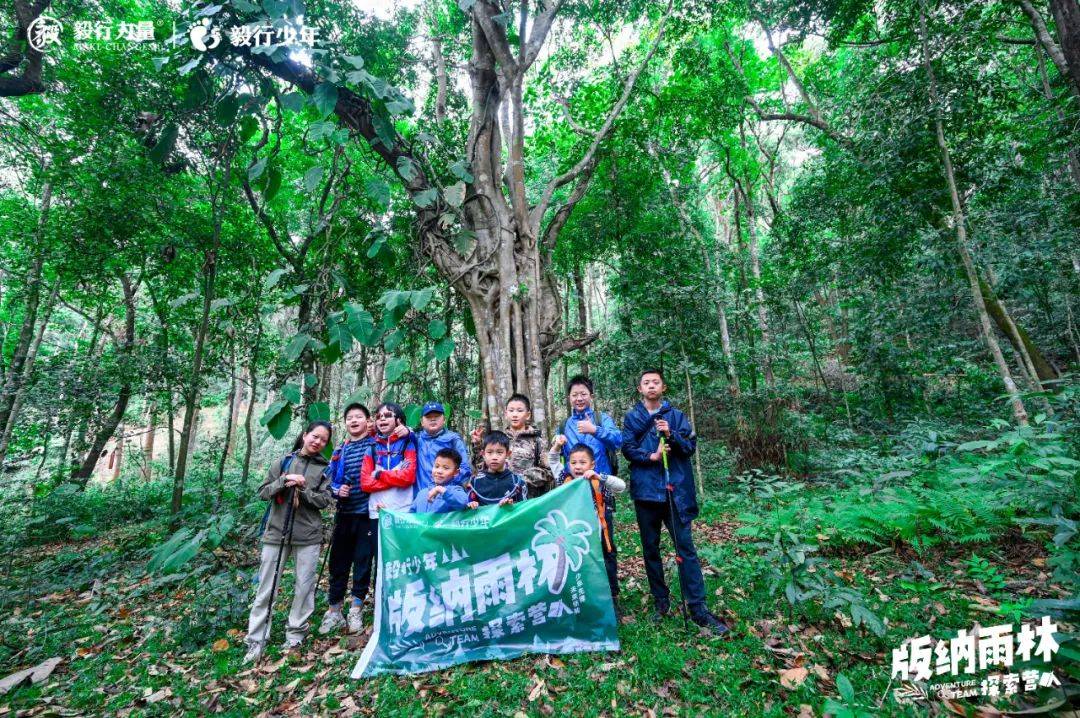 陪你去雨林 | 一群少年摸索家6天5晚西双版纳雨林之旅