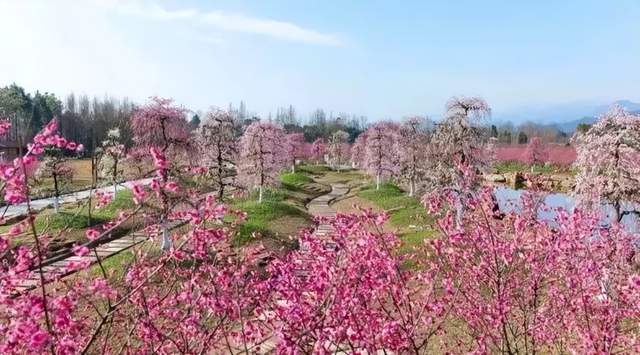 四川健博会探秘之：中医药安康旅游篇