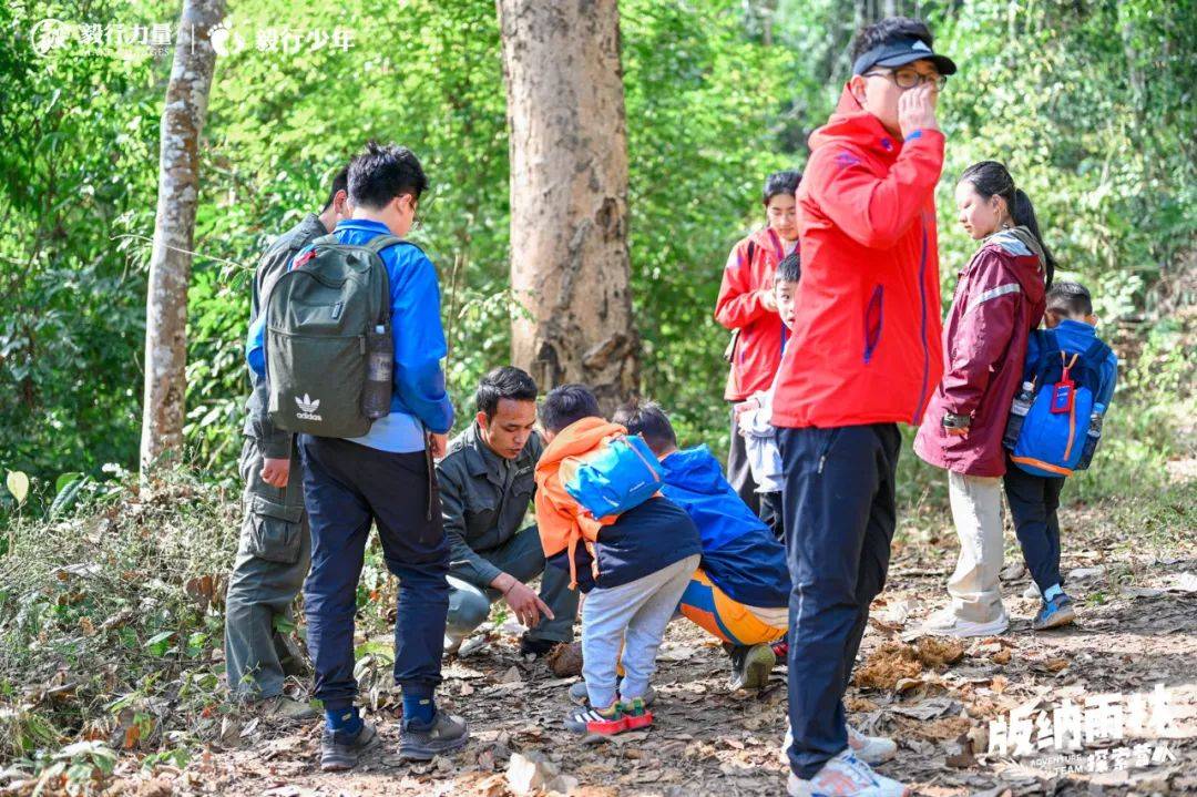 陪你去雨林 | 一群少年摸索家6天5晚西双版纳雨林之旅