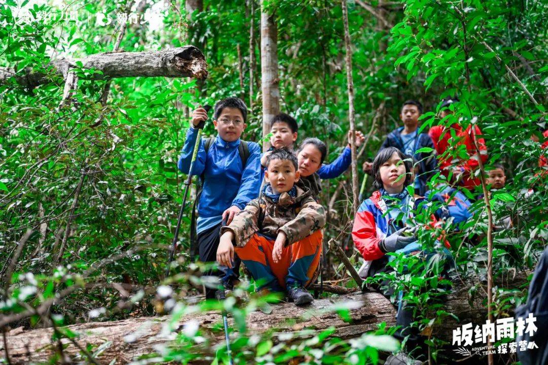 陪你去雨林 | 一群少年摸索家6天5晚西双版纳雨林之旅