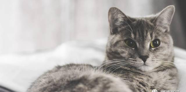 �������ˣ��������ˡ�������Ӱ�����õ��������