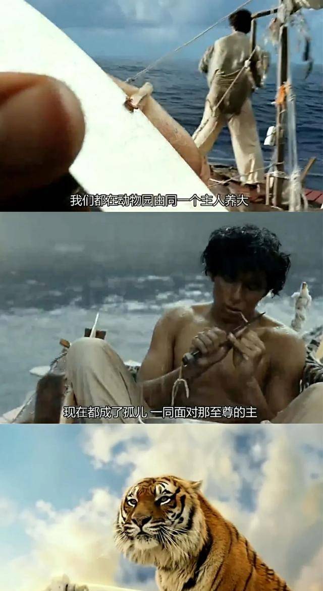 影评《少年派的奇异漂流》：兽性与感性构成了人