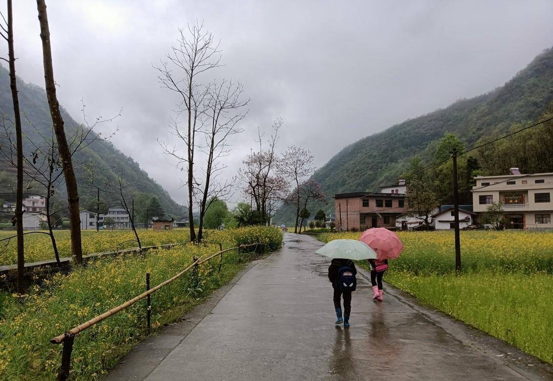 乘坐开往秦岭云烟深处的火车，抵达十里花海村子，仙气飘飘太美了