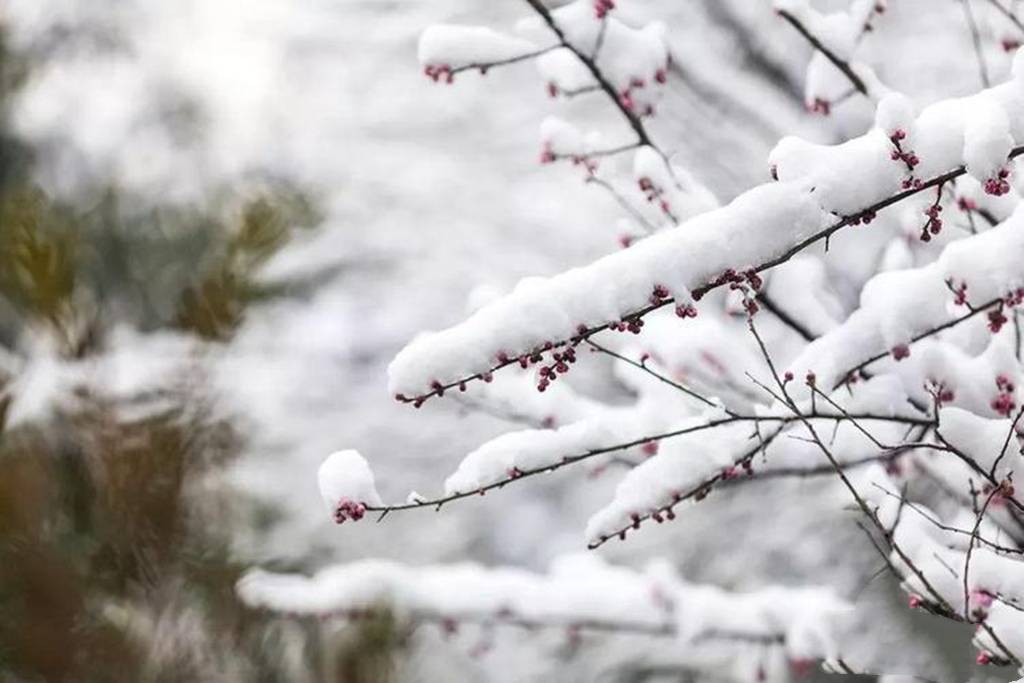 大雪都盖不住春天的七首春雪诗，最初一位被当做神一样的存在