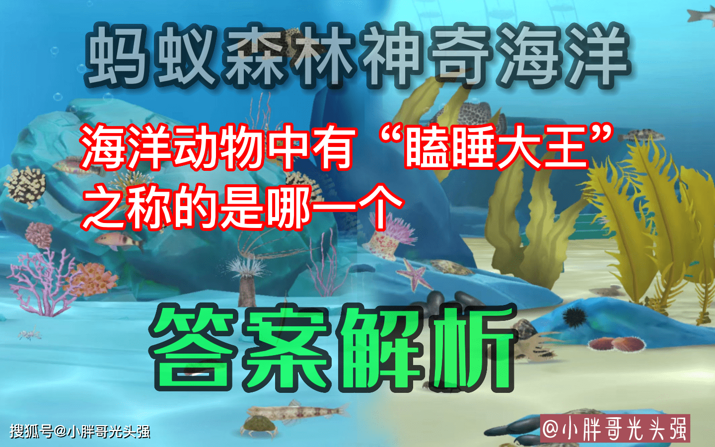 海洋动物中有“瞌睡大王”之称的是哪一个？蚂蚁丛林奇异海洋