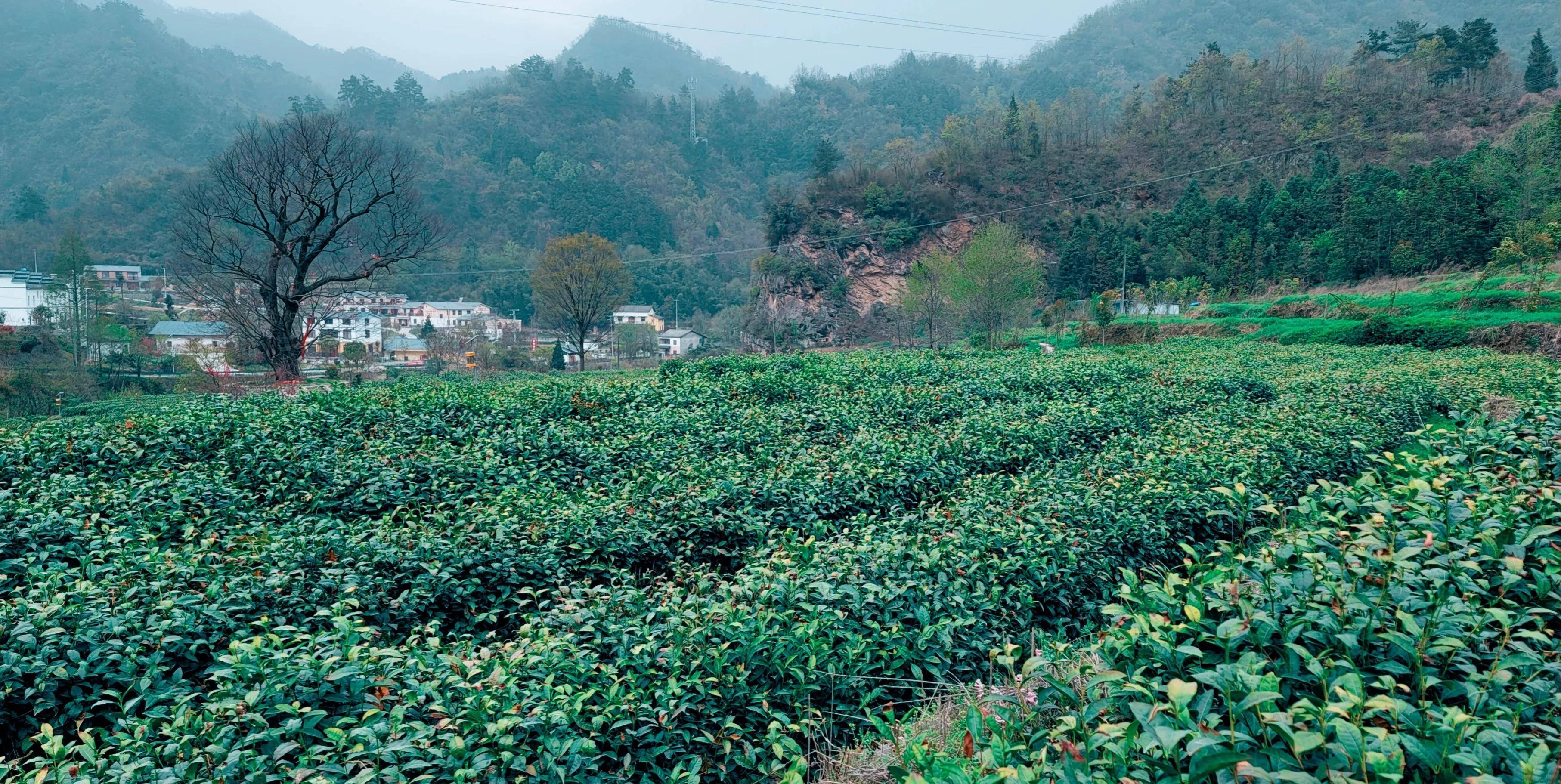 摩行踏青为难遇困后不测相逢朴实光景与人