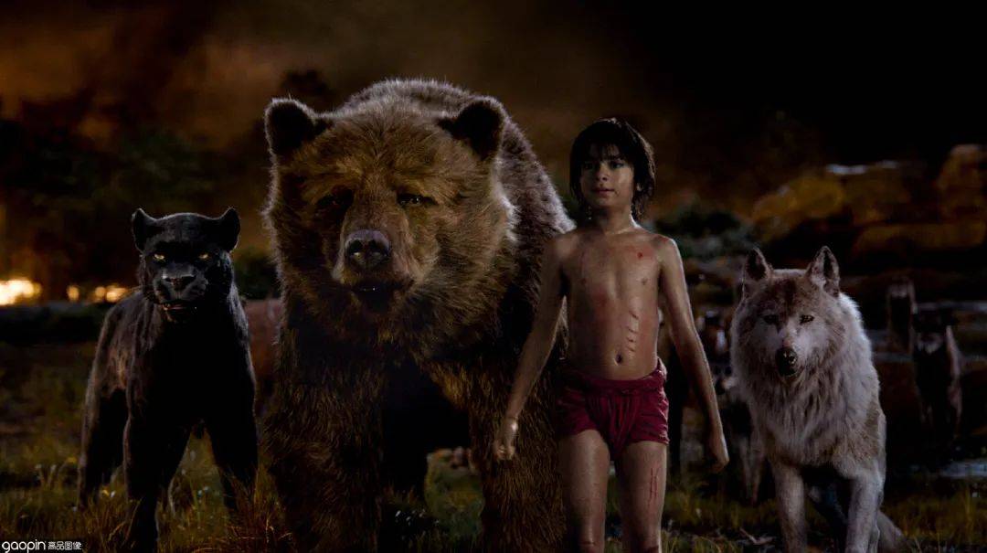 ��ʿ�ᡶС�����㡷���˰涨�� | ͯ��������Ʒ�����Ǽ�¼Ƭ ...