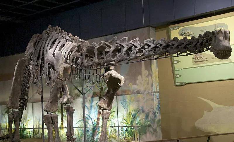 ����������ͼƬ�ͼ�飨����