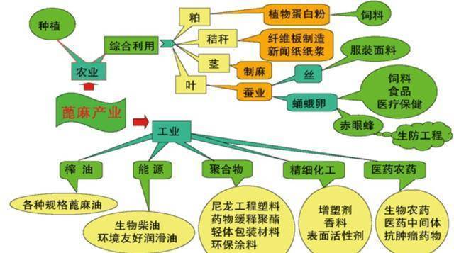 世界上最致命的动物、动物是什么？