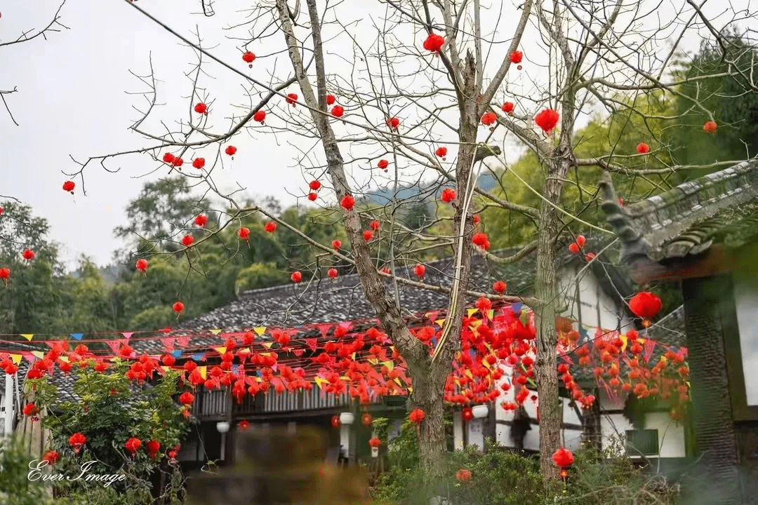 遂宁：永和家园女神节活动|赏识田园美景——做个精致女神