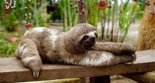 ��������һ��13000��ǰ���������������أ�ʷѧ�ң������� ...