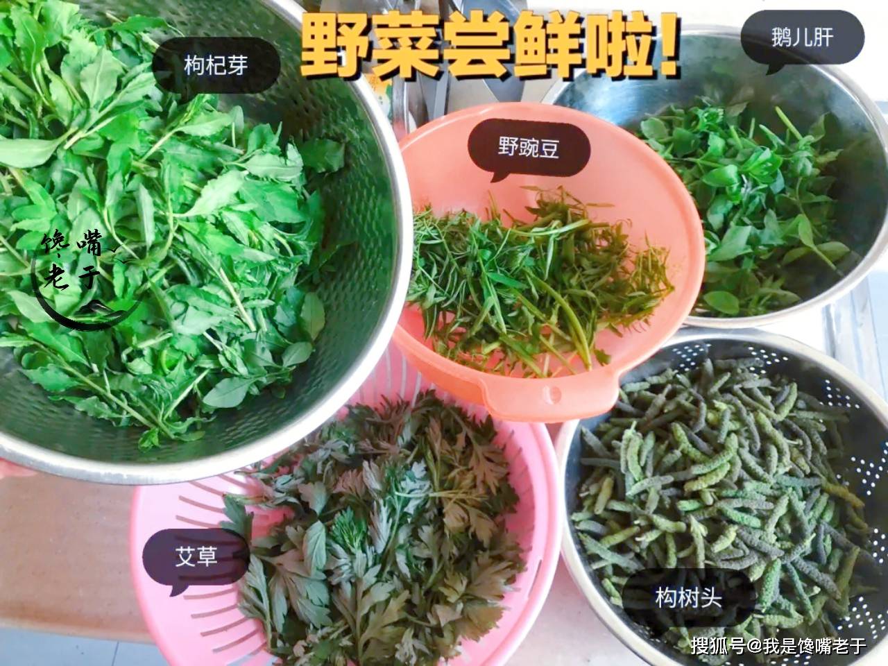 常吃野菜益处多，但那7种野菜不要吃，今天才弄大白，长常识了