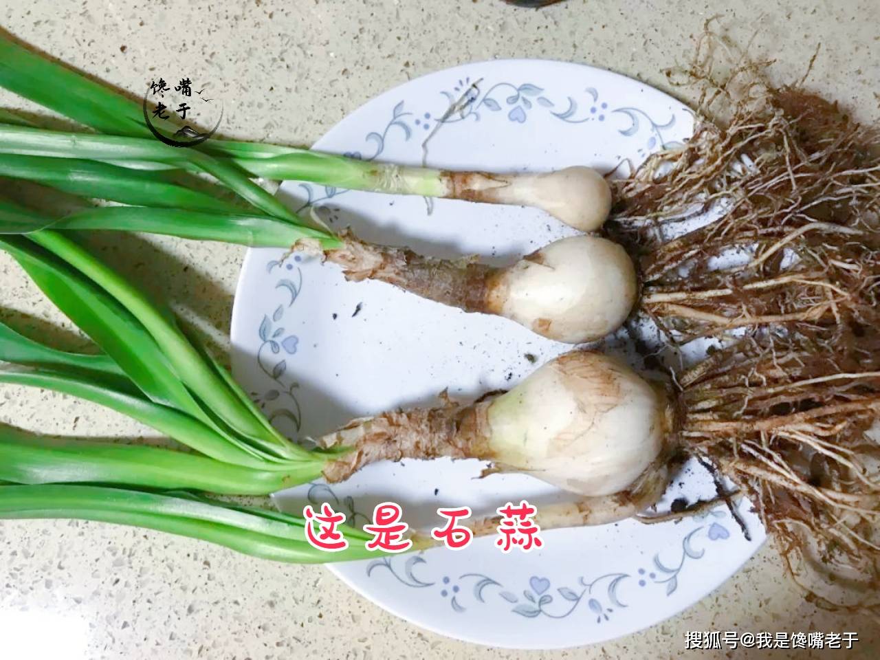 常吃野菜益处多，但那7种野菜不要吃，今天才弄大白，长常识了