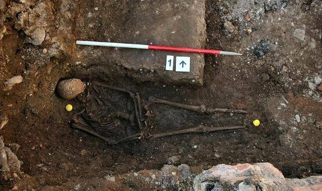 �����������ʬ��Ϊ�λ���ʬ��Ұ������������Ԥı�������� ...