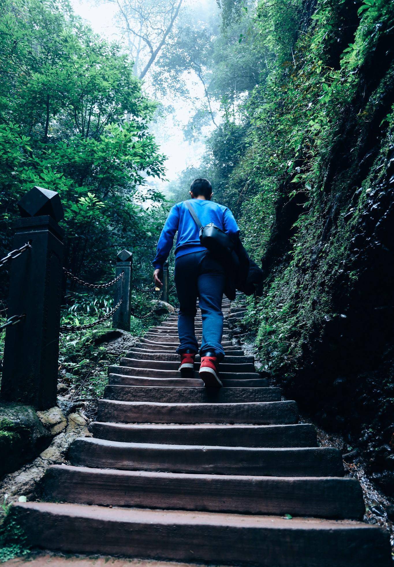 成都青城全国幽，游前山仍是后山，到底怎么选？