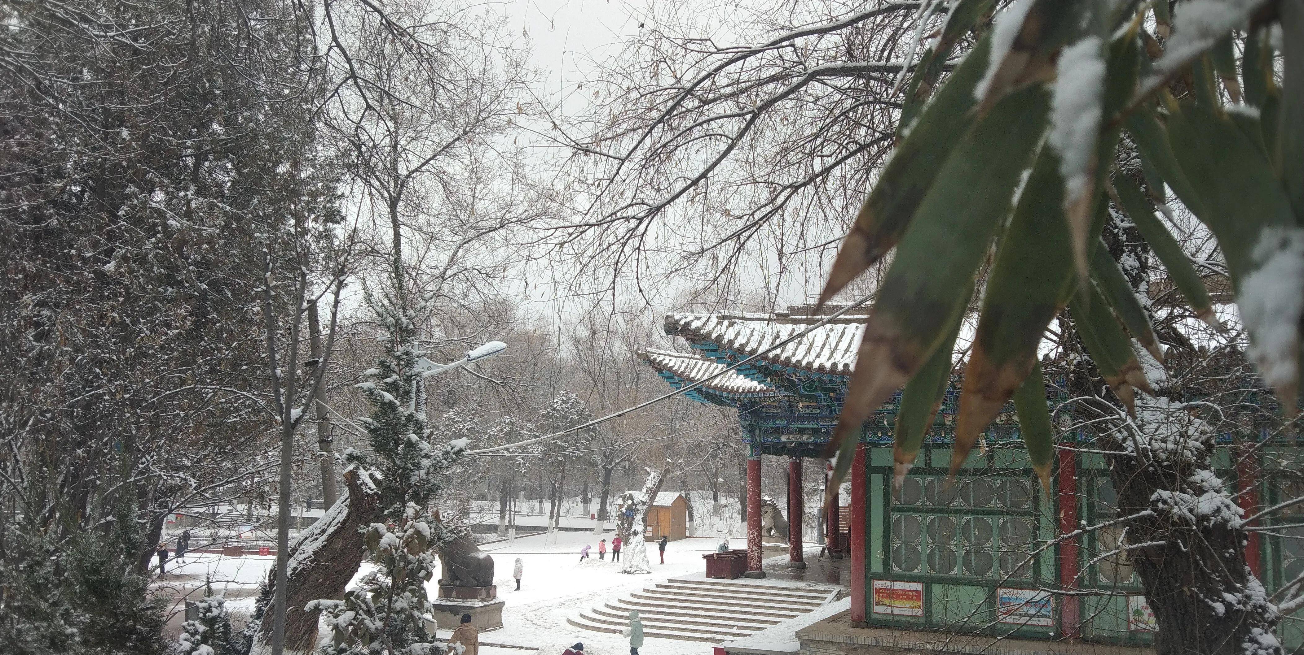 陇原行旅日志~五泉山春雪（兰州城有话说）