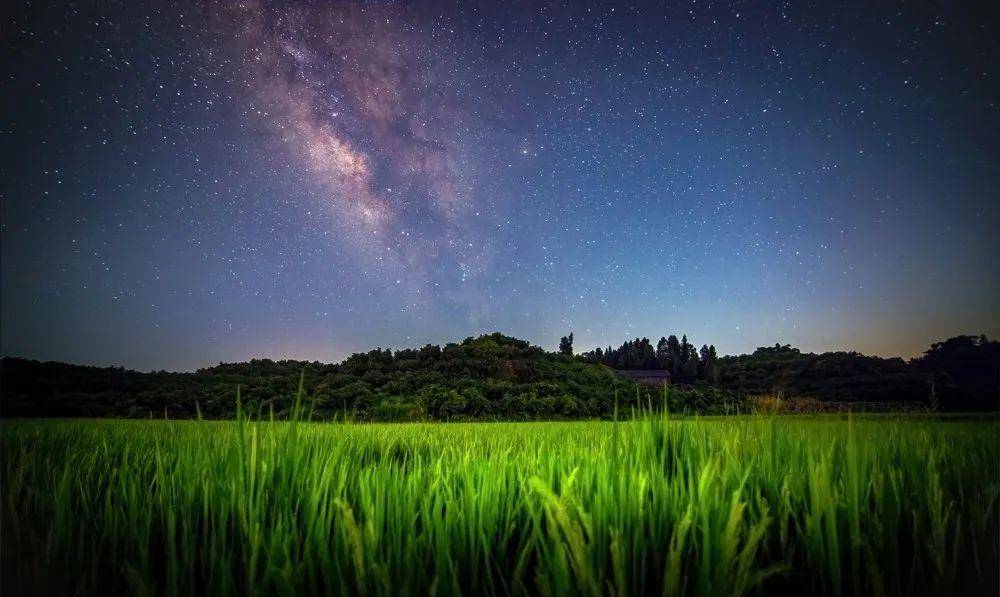 致敬星光女神，那些就是她们摘下的星星