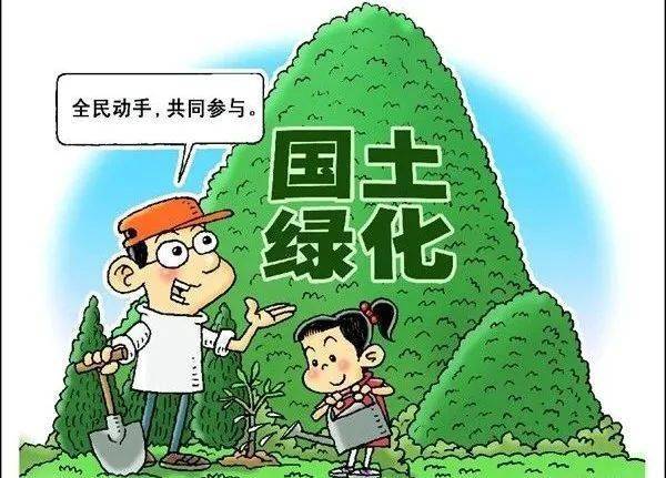 中国国土KK体育绿化行动(图3)