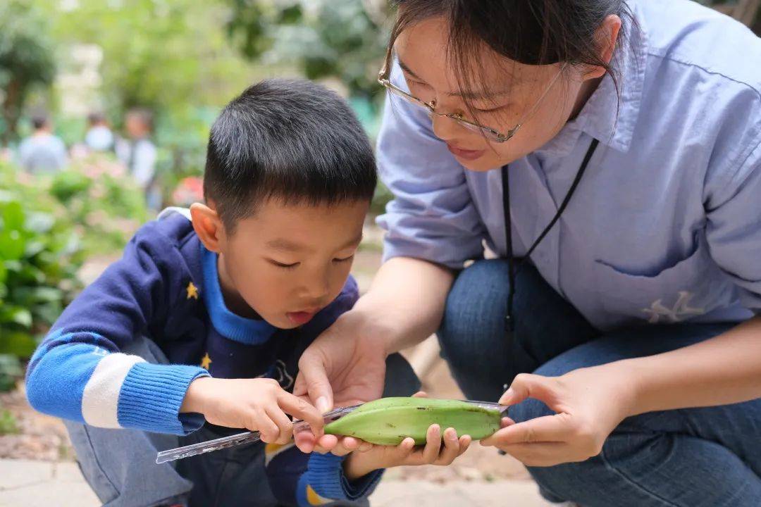 萌值爆表！小伴侣超爱的生长乐园，一路摘柚子、孵小鸡……