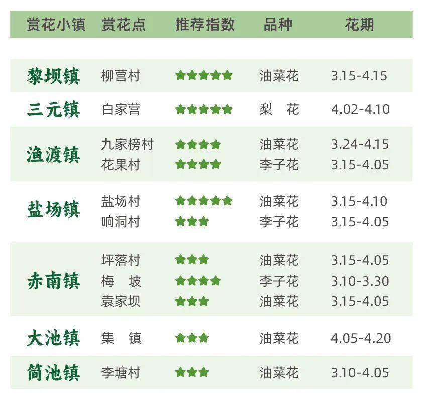 春入巴山丨那条绝美景不雅大道带你畅游金色油菜花海……