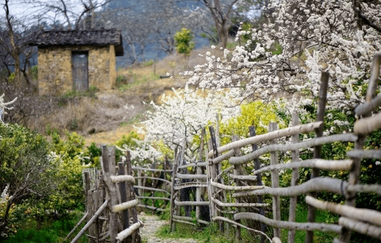 【原创诗词】周嗣远 | 酒至三巡人未醒，梅香桃艳李花馨（诗词十四首）