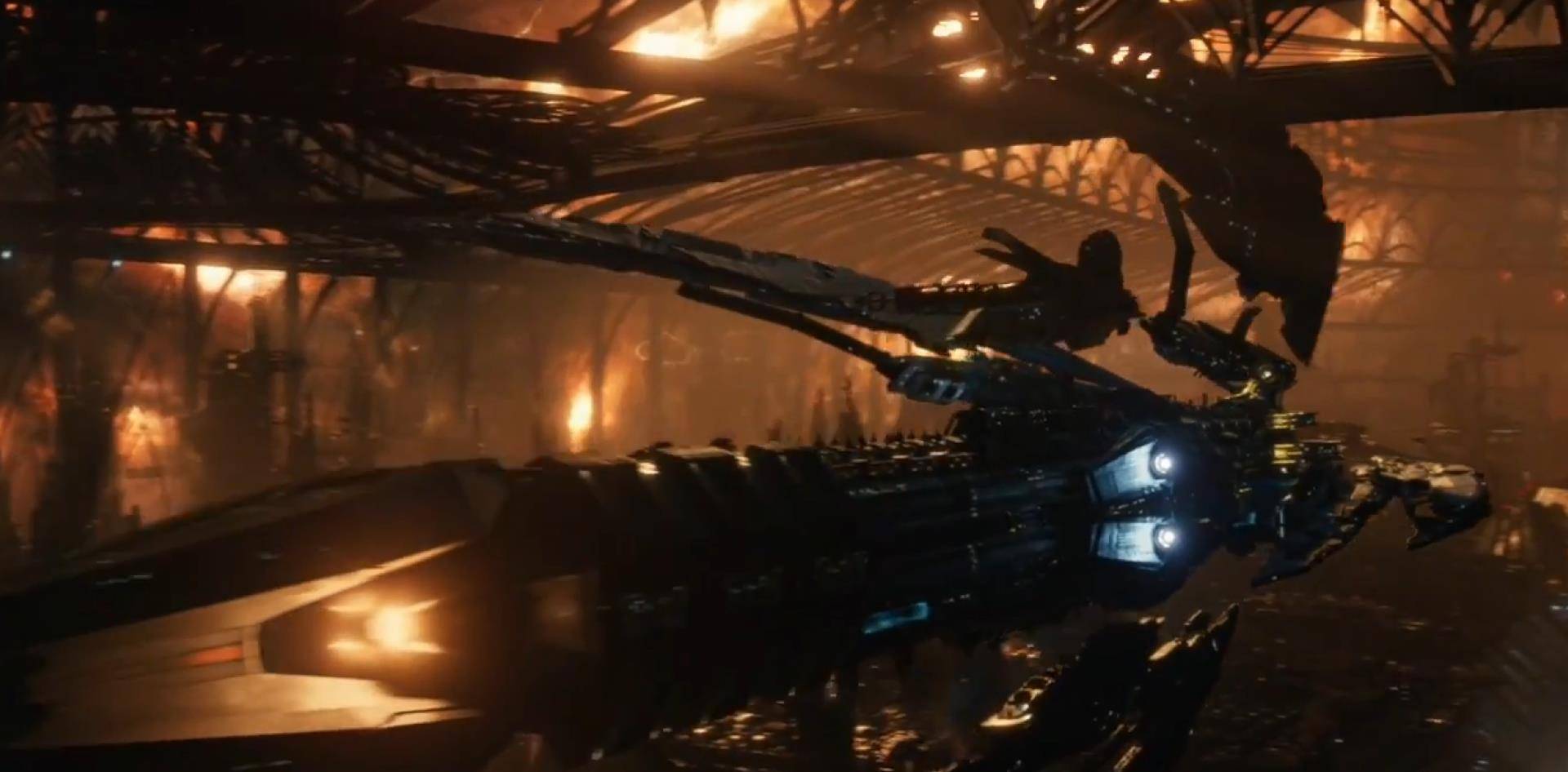 ���������������롰�������硱�����ϵ�������Ƭ���������� ...