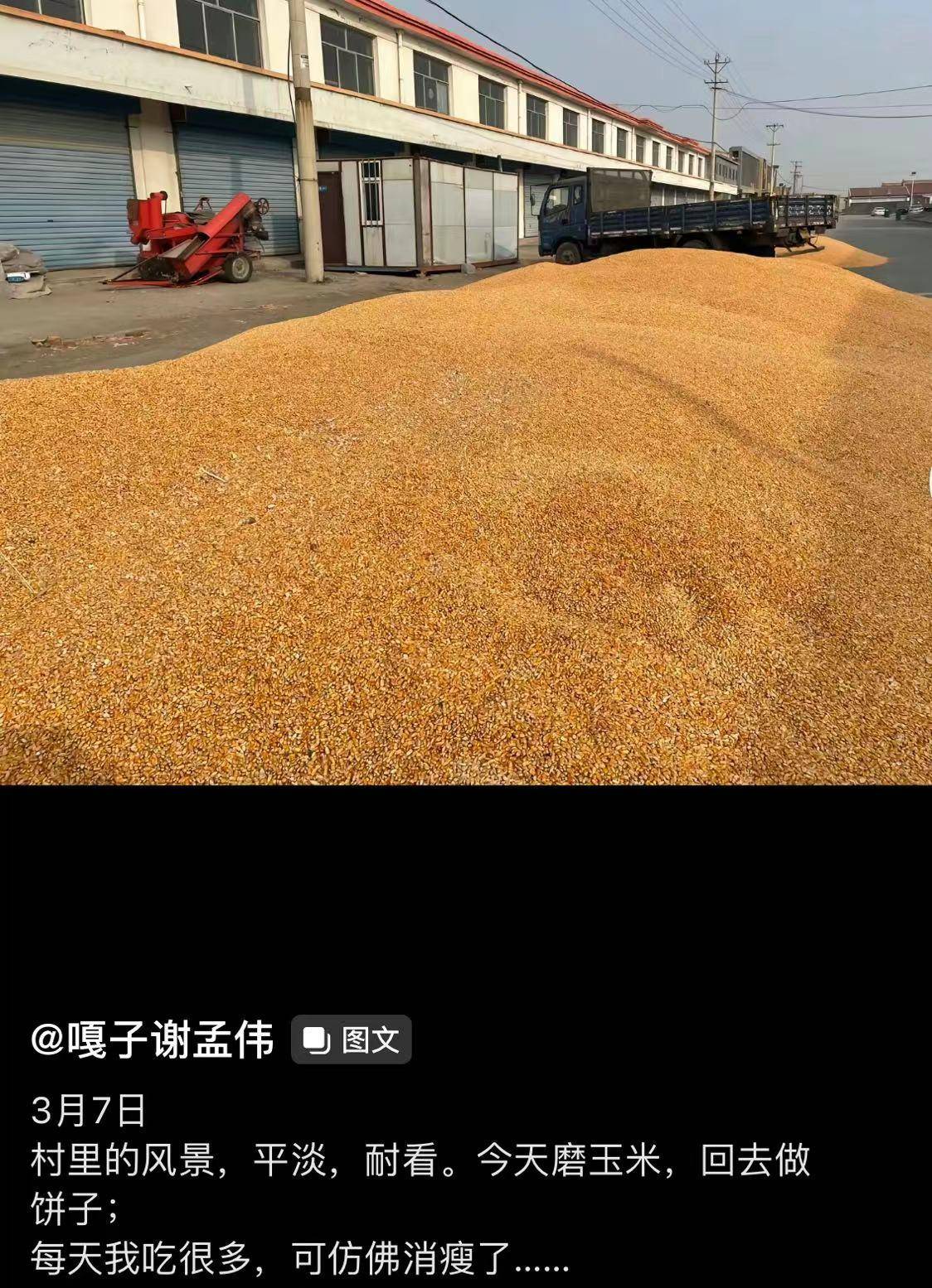 �������������ݳ�Ʒ�������쳤���Ƴ�ģ���з������ũ�� ...