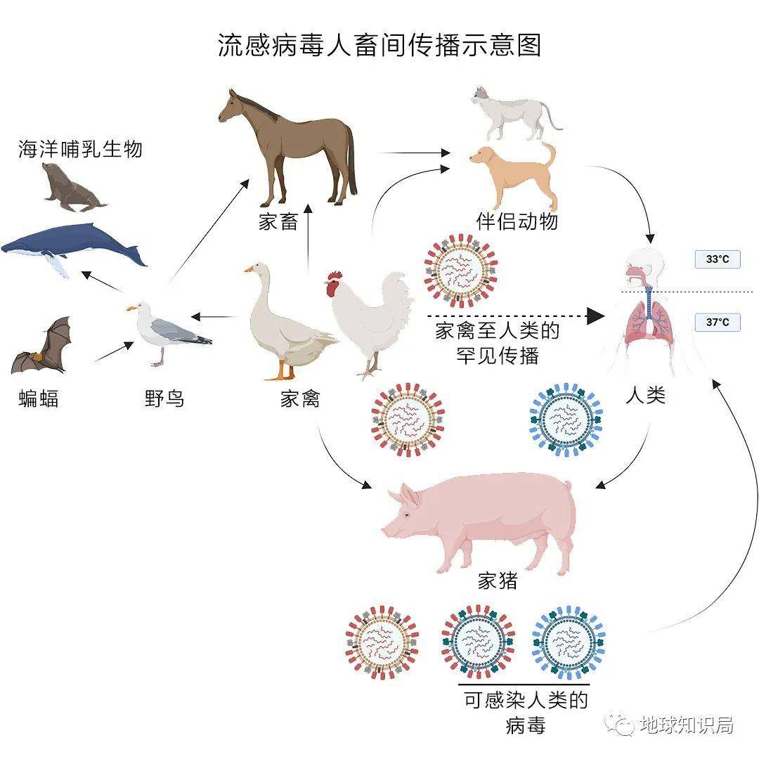 Ϊʲô����Ȧ��ô���ˡ��ס��ˣ�| ����ѧ�ʾ�