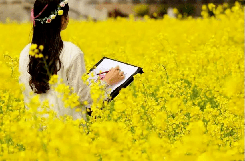 超震撼！济宁迎来花海旅游季·巨型稻草人王国，4月1日起迎客！送门票啦！