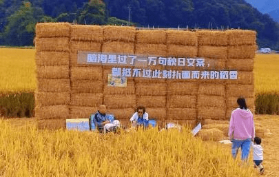 超震撼！济宁迎来花海旅游季·巨型稻草人王国，4月1日起迎客！送门票啦！