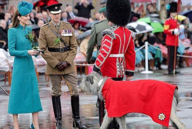 ���ؼ̳��ɷ�ͷ�Ρ�����ȥ������ɫ����������������У���� ...