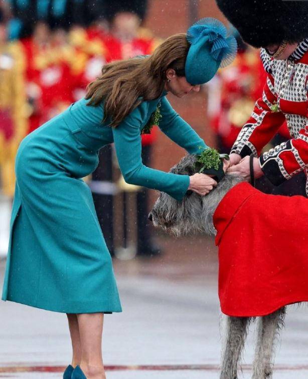 ���ؼ̳��ɷ�ͷ�Ρ�����ȥ������ɫ����������������У���� ...