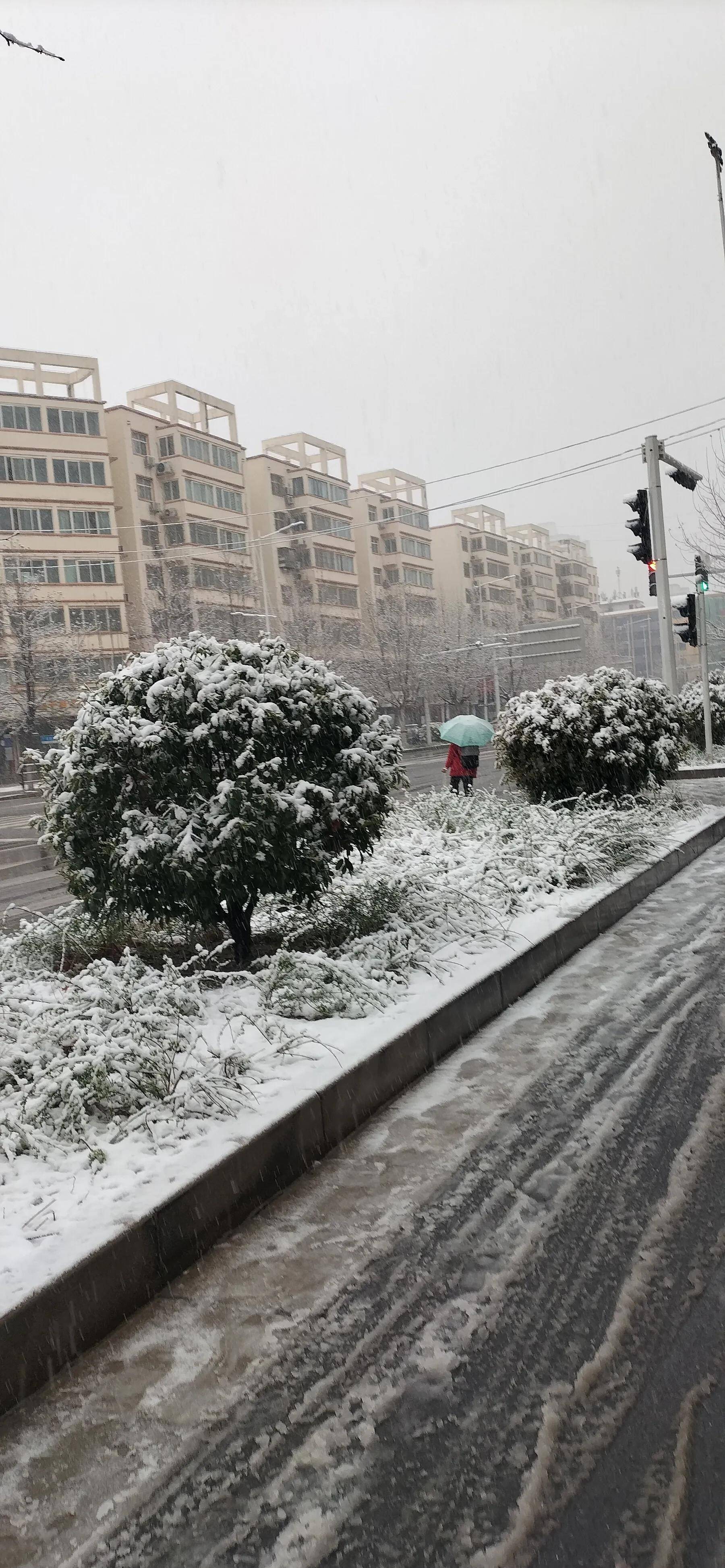 郑州三月“桃花雪“：春天里的冬气候息，城市更热闹，田野不安好