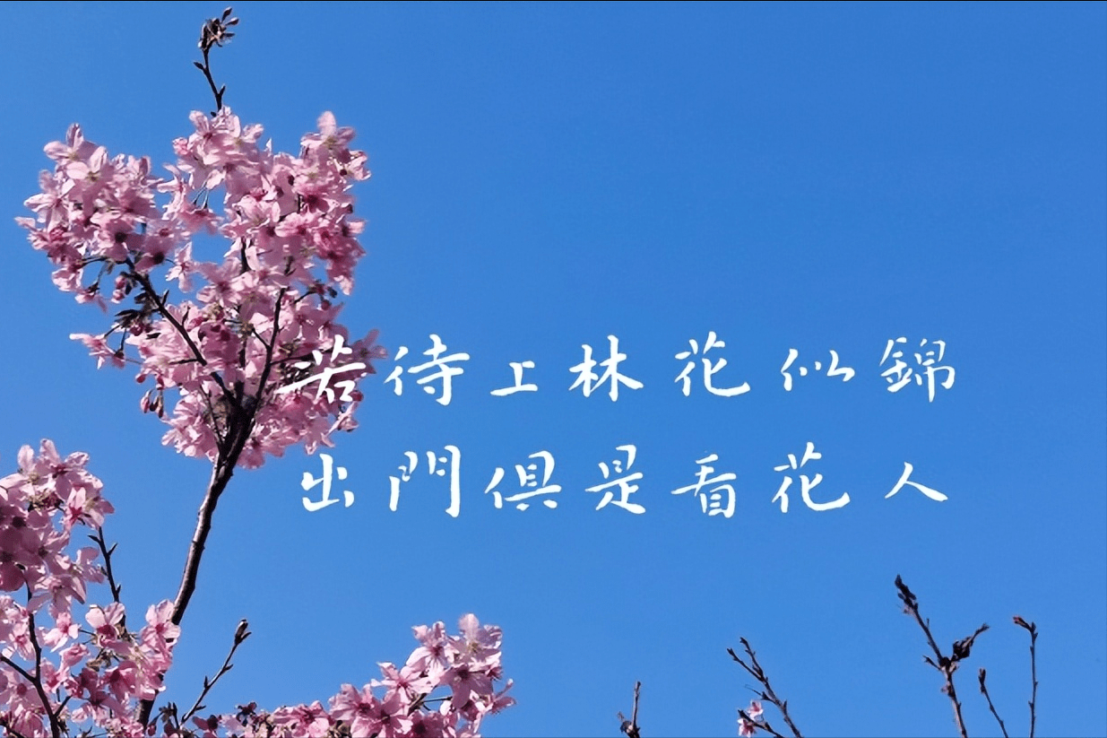 一生不愁吃穿，有爱也自在，祝你也愿我