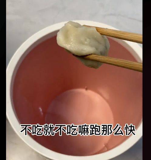 女子想把地上的饺子喂狗，谁知狗狗拔腿就跑，结局反让渡人想不到