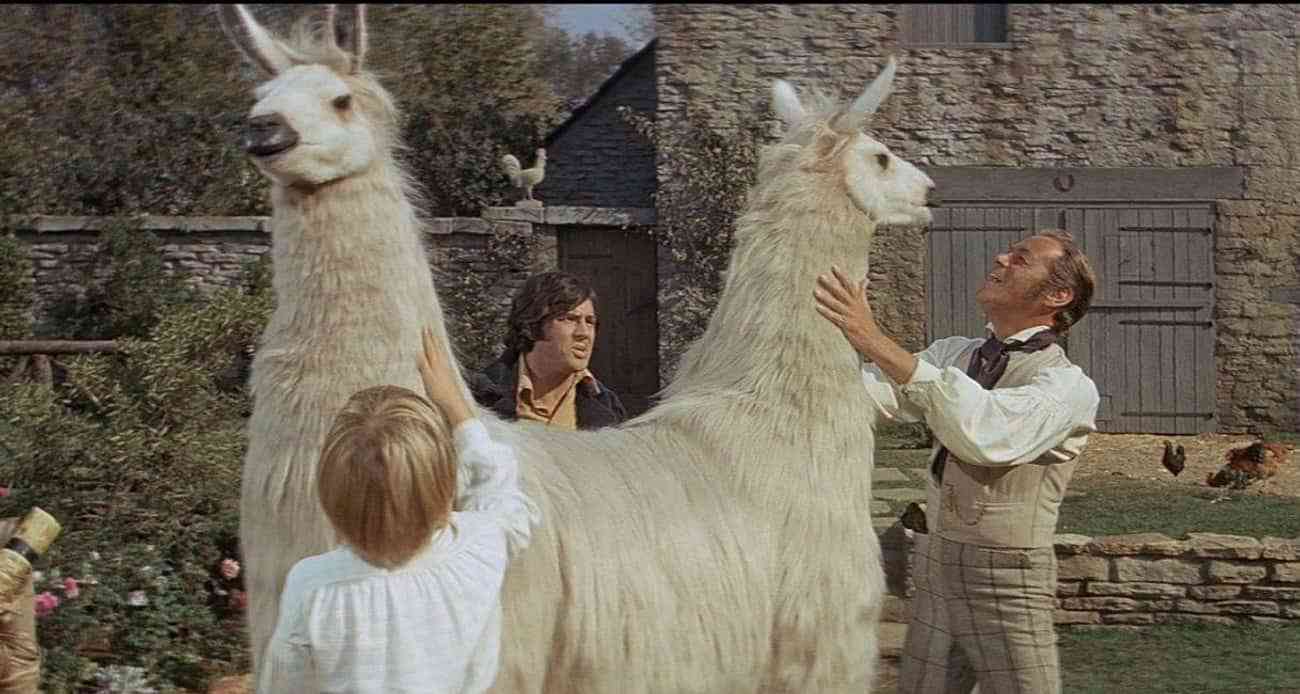 ��������ҽ��������γ�Ϊһ������ֱ�ٵ�20���͸���˹��Ӱ ...