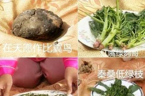 那些影视剧里搞笑的食物，你能认出来几个？刘诗诗手里是鸭脖？