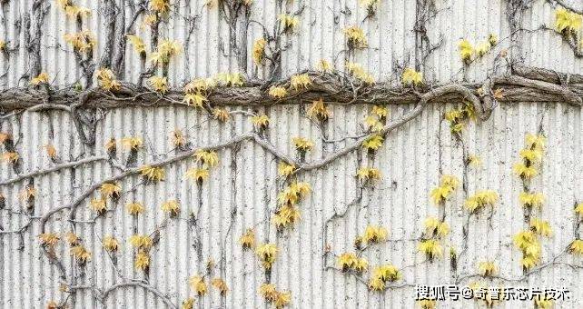 重构、链接、融合，先进封装的异构布局者——RDL工艺