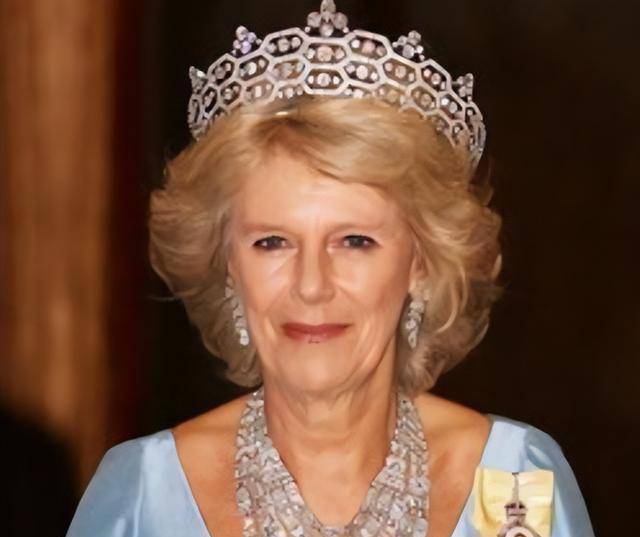 �������������ˣ�����������������̥ά�ֻ������ȴ����� ...