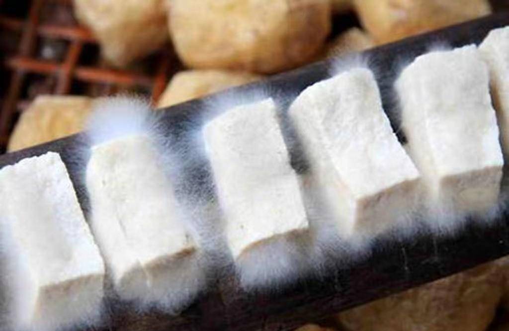 毛豆腐闻起来有着特殊气质,但吃起来气质还好,和榴莲一样,爱它的人极