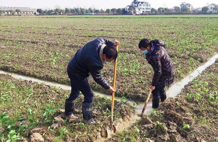 农村老话说，“惊蛰不冻虫，冷到蒲月中”，惊蛰之后还会冷吗？