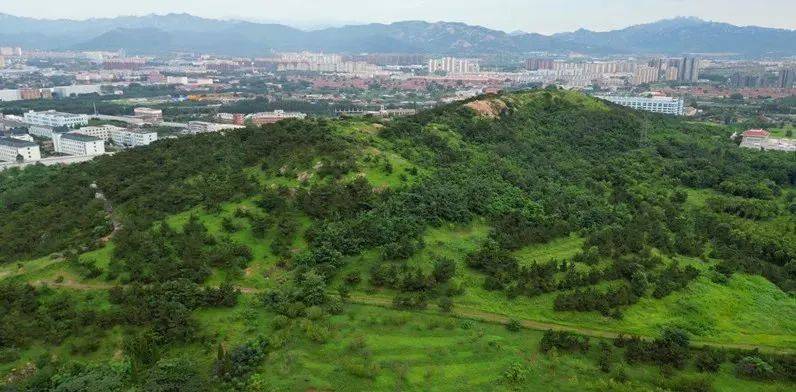 绿地凤玺台，进退皆山河 | 青岛塔尖圈层都在等的半山台墅