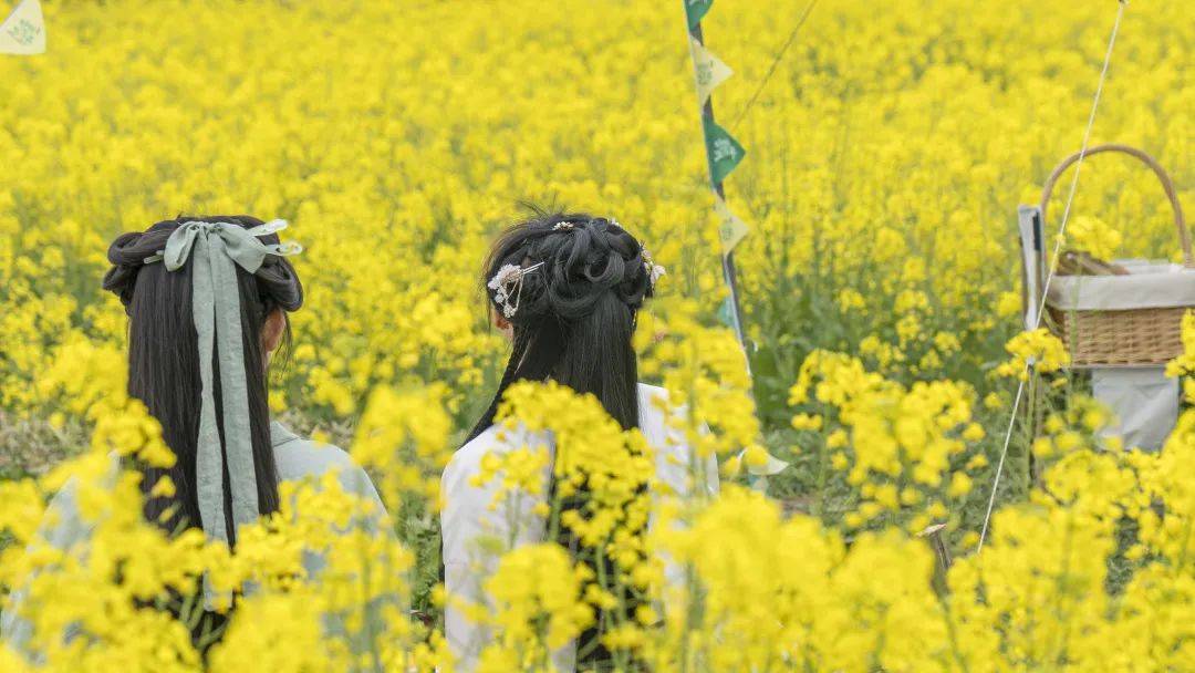 不负春光！乌镇好好生活节退场，带你见见江南水乡有多“野”！