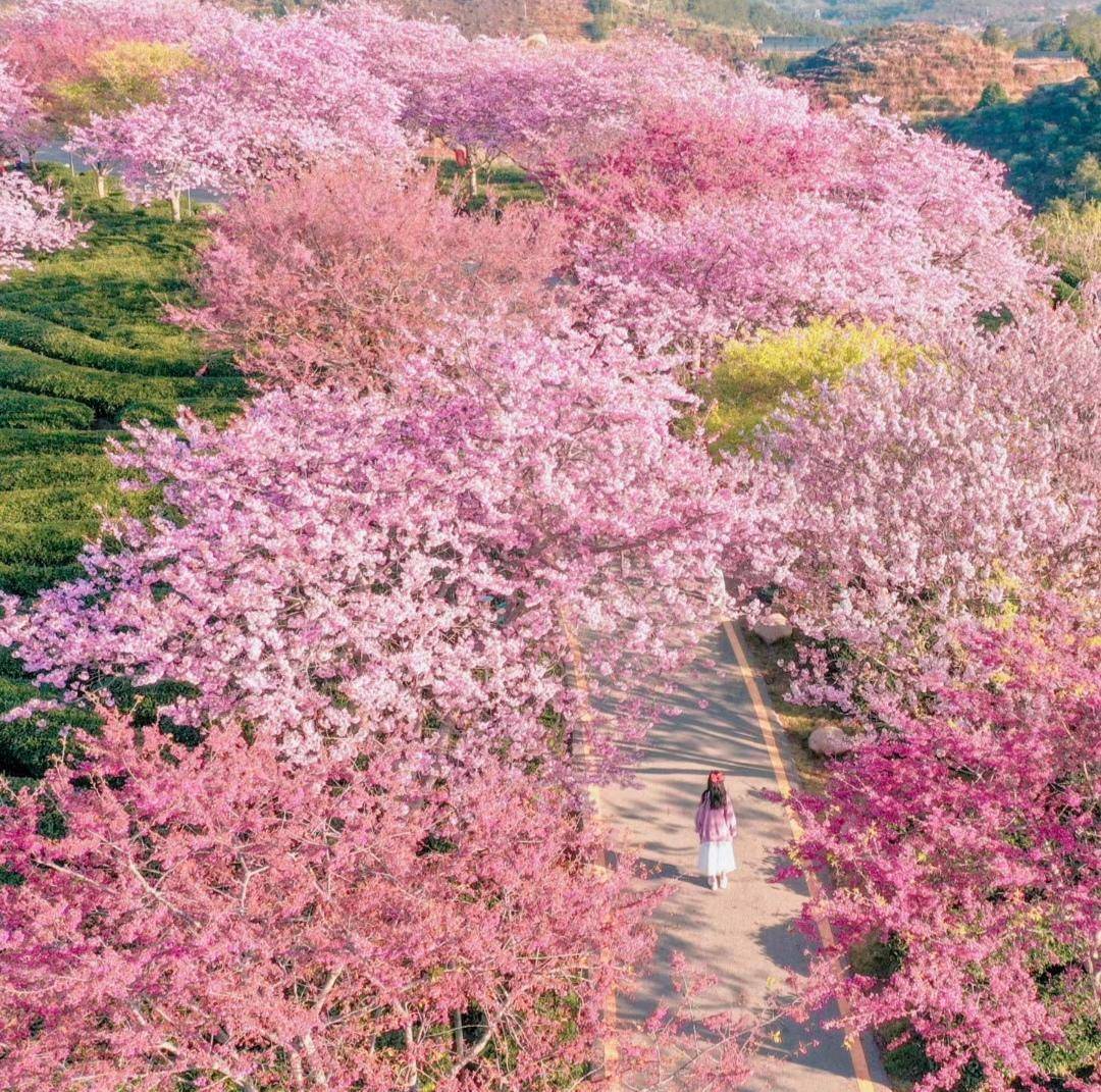 原创
                新奢纯电大钢炮，极氪X来了，你筹办好了吗？