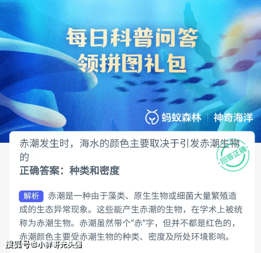 赤潮时海水颜色次要取决于引发赤潮生物的什么？蚂蚁丛林奇异海洋