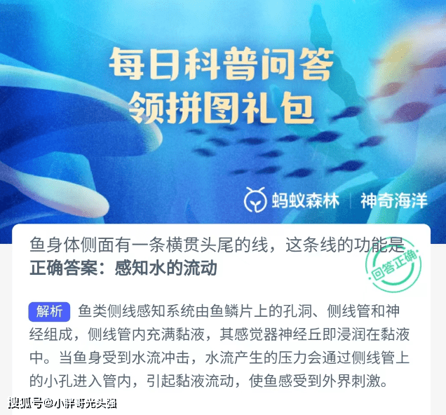 鱼身体侧面有一条横贯头尾的线，那条线功用是？蚂蚁丛林奇异海洋