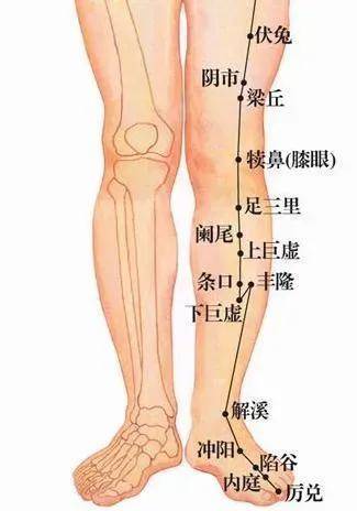 厉兑穴，口腔的专属穴位，治疗口臭的要穴