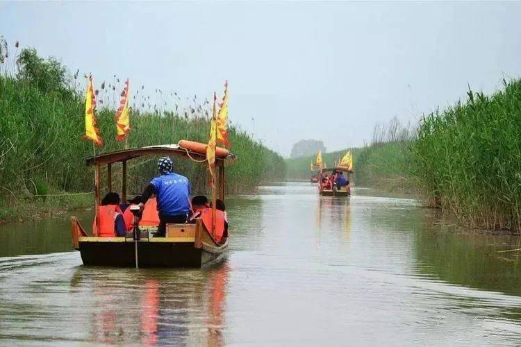 春日出游||扬州必玩旅游保举