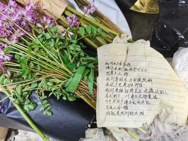 清明，有人在王小波墓前睡着了 | 他们给海子写诗，给李白倒酒，给萧红送笔…